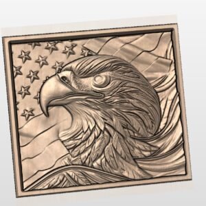 Eagle And Flag in Square frame STL file